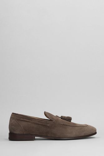 Loafers In Suede - Henderson Baracco - Modalova