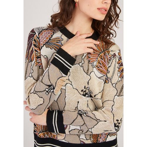 Maglione Cacao Donna Taglie S - derhy - Modalova