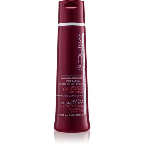 Special Perfect Hair Keratin+Hyaluronic Acid Shampoo regenerierendes Shampoo für geschwächtes und beschädigtes Haar 250 ml - Collistar - Modalova