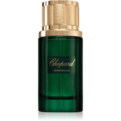 Cedar Malaki Eau de Parfum para hombre 80 ml - Chopard - Modalova