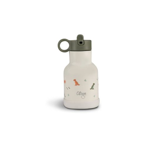 Water Bottle 250 ml (Stainless Steel) Wasserflasche aus Edelstahl Dino 250 ml - Citron - Modalova