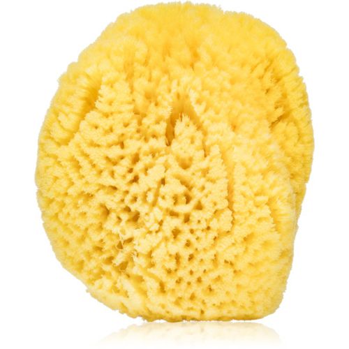 Natural sponge esponja de baño para niños 1 ud - Agnotis - Modalova