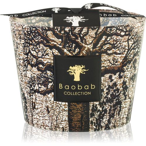 Sacred Trees Morondo vela perfumada 10 cm - Baobab Collection - Modalova