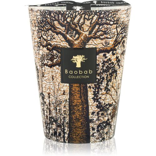 Sacred Trees Morondo candela profumata 24 cm - Baobab Collection - Modalova
