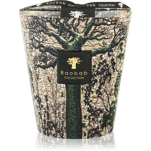 Sacred Trees Kani vela perfumada 16 cm - Baobab Collection - Modalova