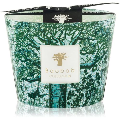 Sacred Trees Kamalo vela perfumada 10 cm - Baobab Collection - Modalova