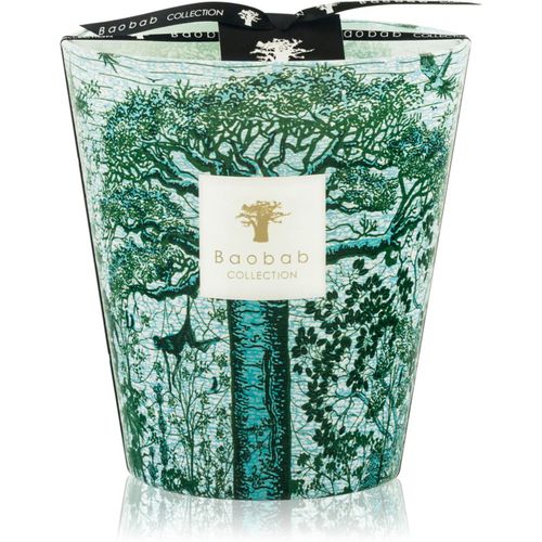 Sacred Trees Kamalo vela perfumada 16 cm - Baobab Collection - Modalova