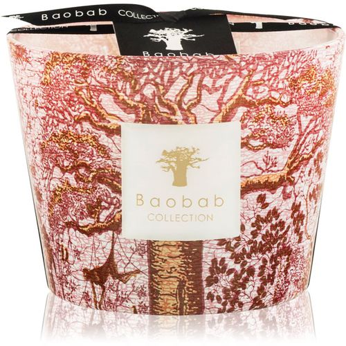 Sacred Trees Woroba vela perfumada 10 cm - Baobab Collection - Modalova