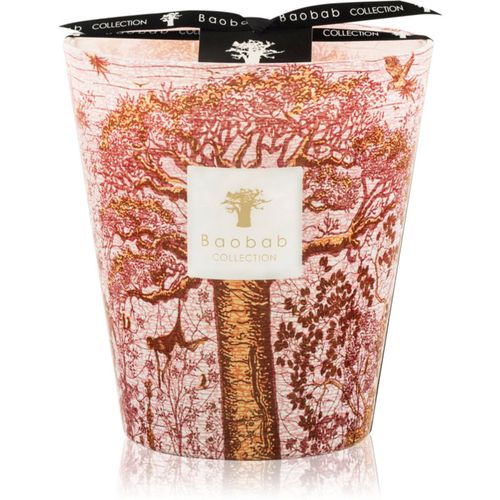 Sacred Trees Woroba vela perfumada 16 cm - Baobab Collection - Modalova