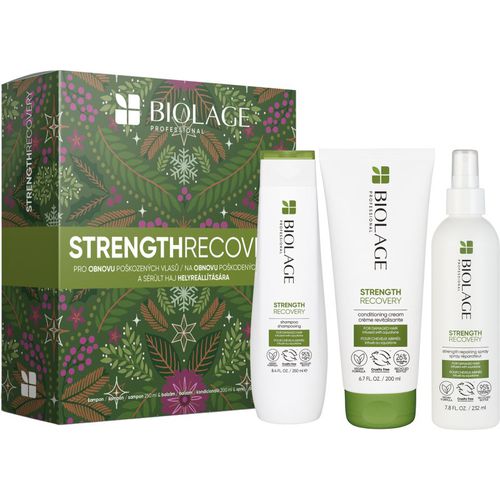 Strength Recovery Geschenkset für beschädigtes Haar - Biolage - Modalova