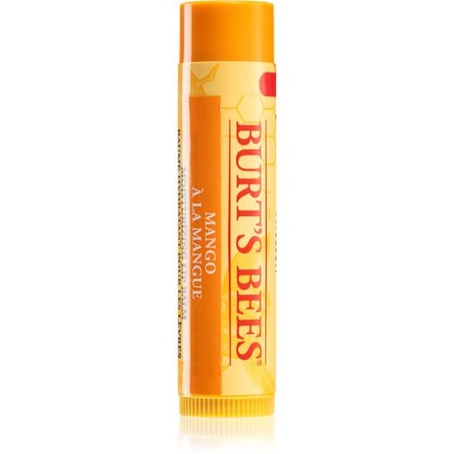 Lip Care bálsamo labial nutritivo (with Mango Butter) 4,25 g - Burt’s Bees - Modalova