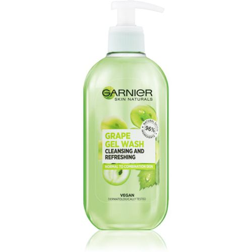 Botanical Reinigungsschaumgel für normale Haut und Mischhaut 200 ml - Garnier - Modalova