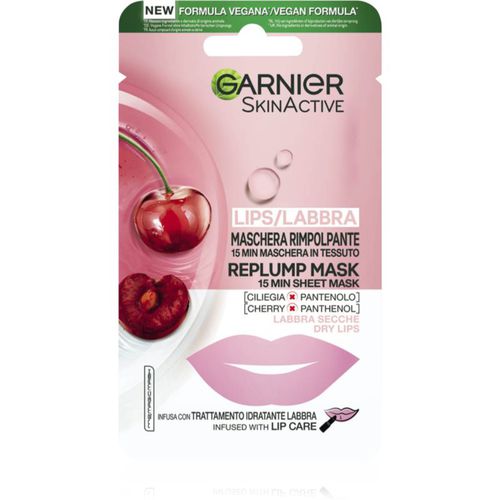 Skin Active mascarilla antiarrugas con efecto relleno para labios 5 g - Garnier - Modalova