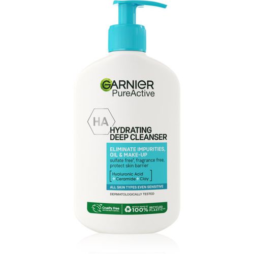 Pure Active feuchtigkeitsspendendes Reinigungsgel gegen die Unvollkommenheiten der Haut 250 ml - Garnier - Modalova