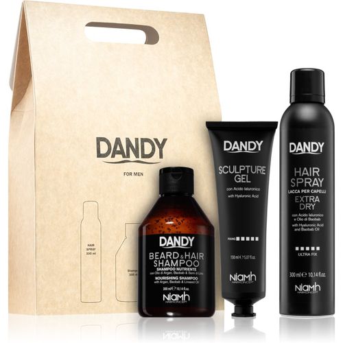 Styling gift set Geschenkset für Herren - DANDY - Modalova