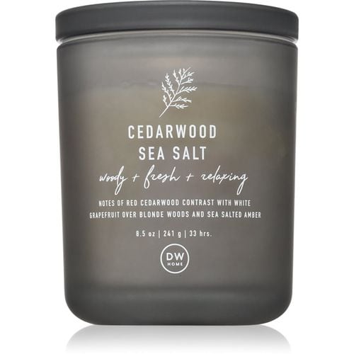 Prime Cedarwood Sea Salt candela profumata 241 g - DW Home - Modalova