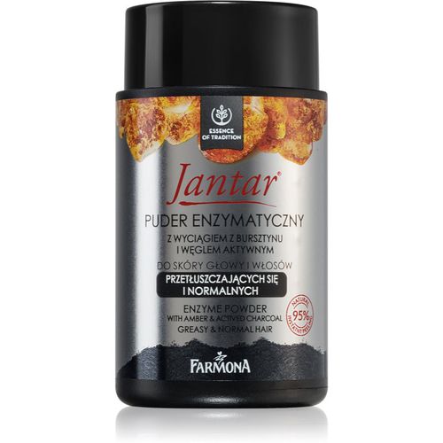 Jantar polvos para el cabello con carbón activo 30 g - Farmona - Modalova