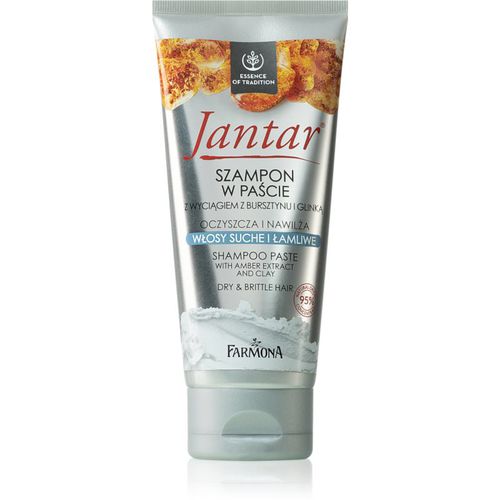 Jantar Amber Extract & Clay shampoo detergente per capelli secchi e fragili 200 ml - Farmona - Modalova