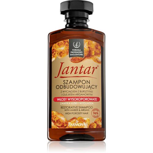 Jantar High Porosity Hair champú nutritivo para dar brillo y suavidad al cabello 330 ml - Farmona - Modalova