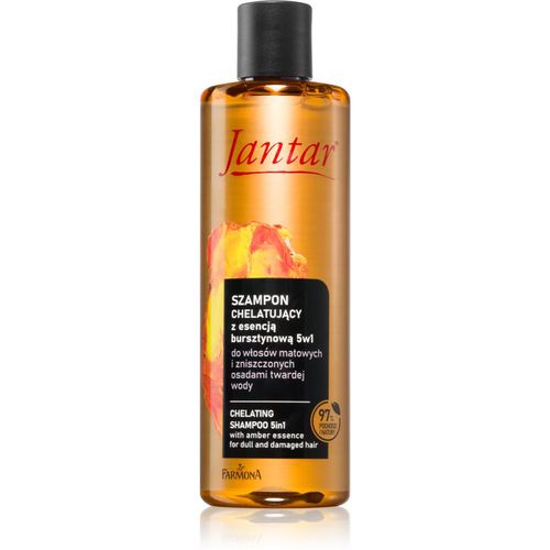 Jantar Amber Essence champú para cabello maltratado o dañado 300 ml - Farmona - Modalova