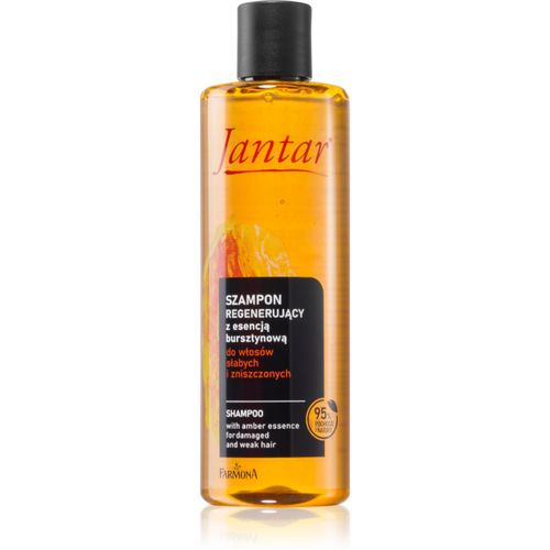 Jantar Amber Essence champú para cabello dañado y frágil 300 ml - Farmona - Modalova