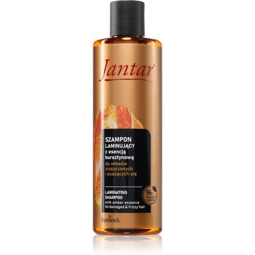 Jantar Amber Essence champú para cabello dañado con ceramidas 300 ml - Farmona - Modalova