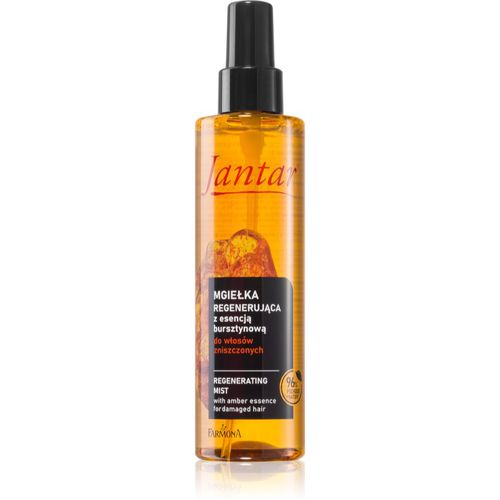 Jantar Amber Essence spray nebulizzato per capelli rovinati e fragili 200 ml - Farmona - Modalova