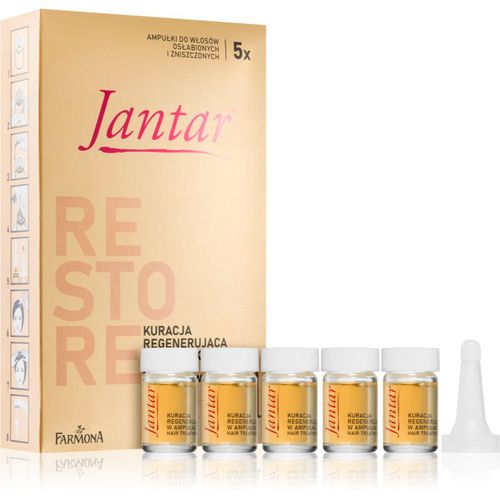 Jantar Amber Essence Pflege für die Wiederherstellung von geschädigtem Haar 5x5 ml - Farmona - Modalova