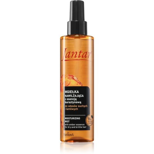 Jantar Amber Essence hydratisierender Nebel für trockenes und beschädigtes Haar 200 ml - Farmona - Modalova