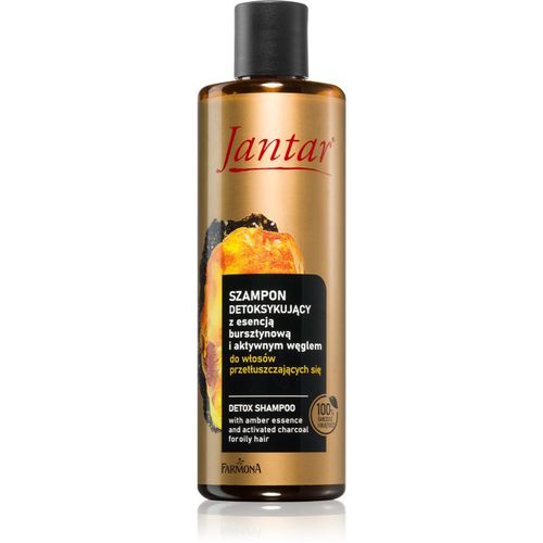 Jantar Amber Essence champú desintoxicante para cabello graso 300 ml - Farmona - Modalova