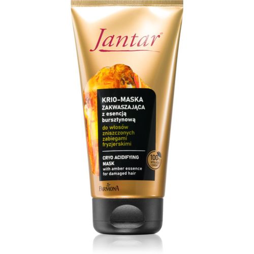 Jantar Amber Essence mascarilla para cabello para cabello maltratado o dañado 200 ml - Farmona - Modalova