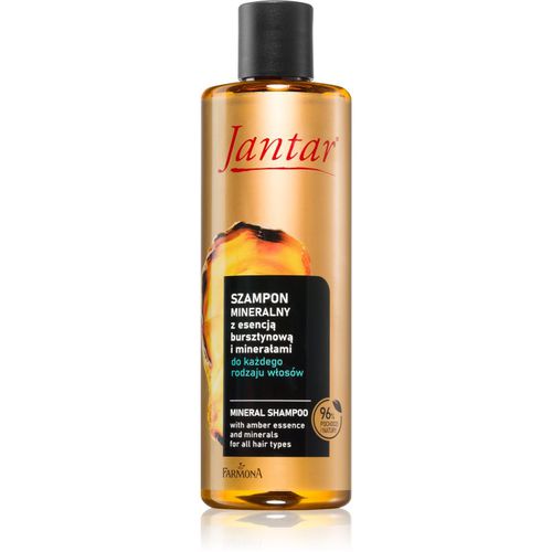 Jantar Amber Essence shampoo minerale per tutti i tipi di capelli 300 ml - Farmona - Modalova