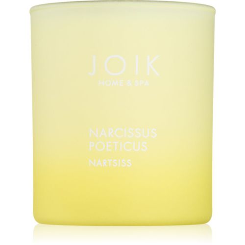 Home & Spa Narcissus candela profumata 150 g - JOIK - Modalova