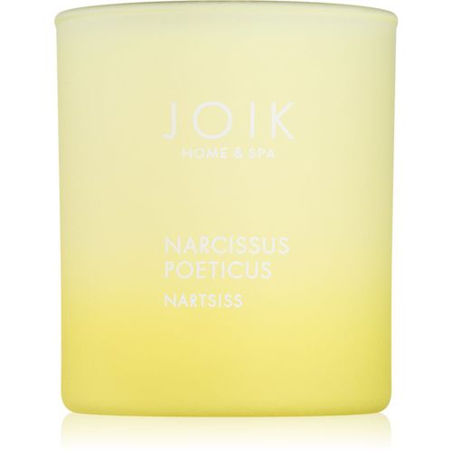 Home & Spa Narcissus Duftkerze 150 g - JOIK - Modalova