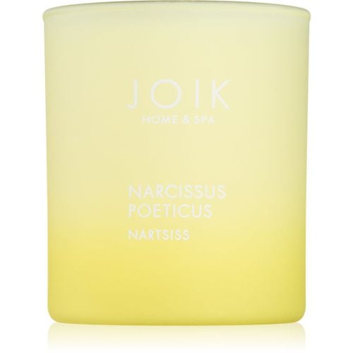 Home & Spa Narcissus vela perfumada 150 g - JOIK - Modalova