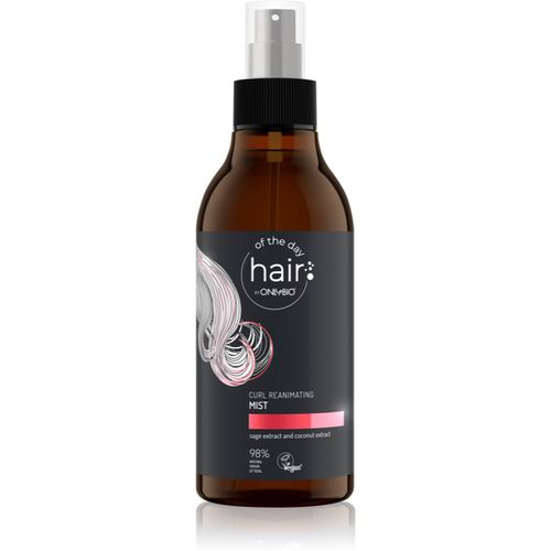 Hair Of The Day spülfreie Haarpflege für welliges und lockiges Haar 300 ml - OnlyBio - Modalova