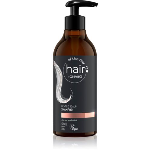 Hair Of The Day sanftes Shampoo für jeden Tag mit Aloe Vera 400 ml - OnlyBio - Modalova