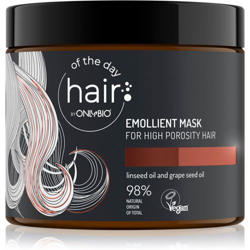 Hair Of The Day Regenerierende Maske für beschädigtes Haar 400 ml - OnlyBio - Modalova