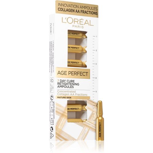 Age Perfect Ampullen mit Hautöl - 7-Tage-Straffungskur 7x1 ml - L’Oréal Paris - Modalova