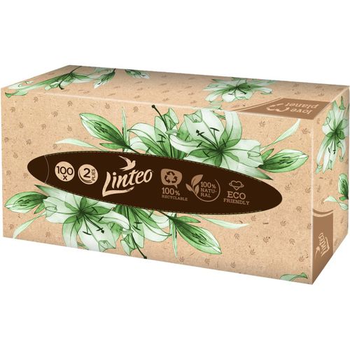 Paper Tissues Two-ply Paper, 100 pcs per box fazzoletti di carta 100 pz - Linteo - Modalova