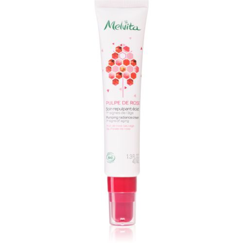 Pulpe de Rose feuchtigkeitsspendende und aufhellende Gesichtscreme 40 ml - Melvita - Modalova