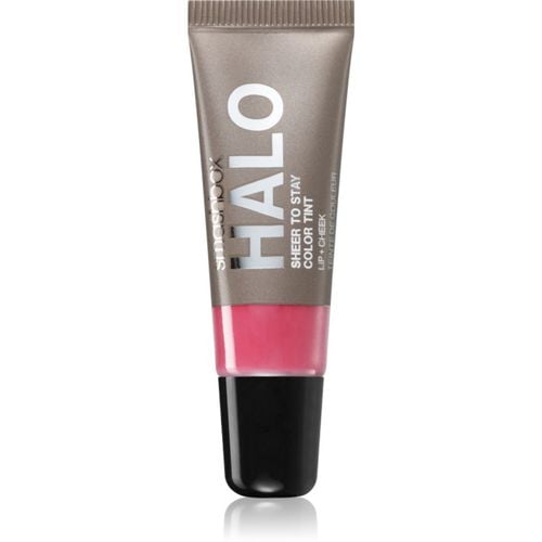 Halo Sheer To Stay Color Tints colorete líquido y brillo labial tono Blush 10 ml - Smashbox - Modalova