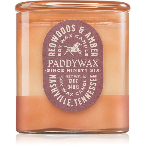 Vista Redwoods & Amber candela profumata 340 g - Paddywax - Modalova