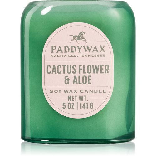 Vista Cactus Flower & Aloe candela profumata 142 g - Paddywax - Modalova