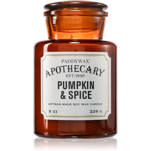 Apothecary Pumpkin Spice candela profumata 226 g - Paddywax - Modalova