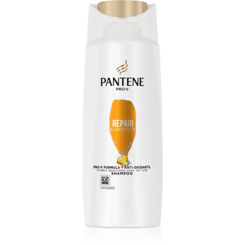 Pro-V Repair & Protect stärkendes Shampoo für beschädigtes Haar 90 ml - Pantene - Modalova