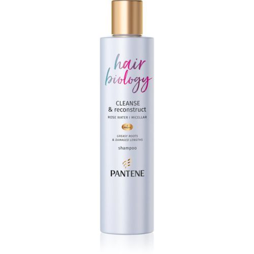 Hair Biology Cleanse & Reconstruct champú para cabello graso 250 ml - Pantene - Modalova