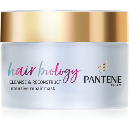 Hair Biology Cleanse & Reconstruct mascarilla para cabello para cabello graso 160 ml - Pantene - Modalova