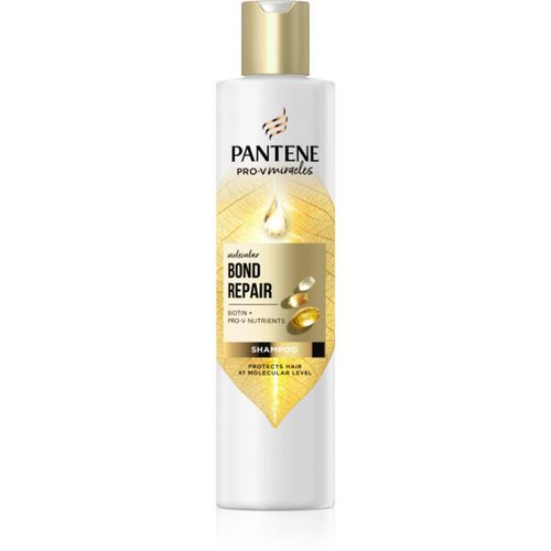 Pro-V Bond Repair stärkendes Shampoo für beschädigtes Haar mit Biotin 250 ml - Pantene - Modalova