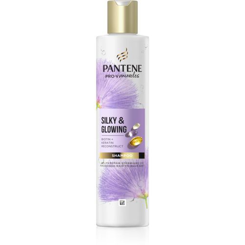 Pro-V Miracles Silky & Glowing erneuerndes Shampoo mit Keratin 250 ml - Pantene - Modalova